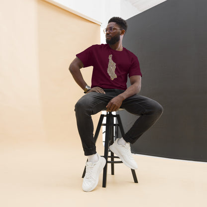RichFraZ: SNA Map Men's Tee