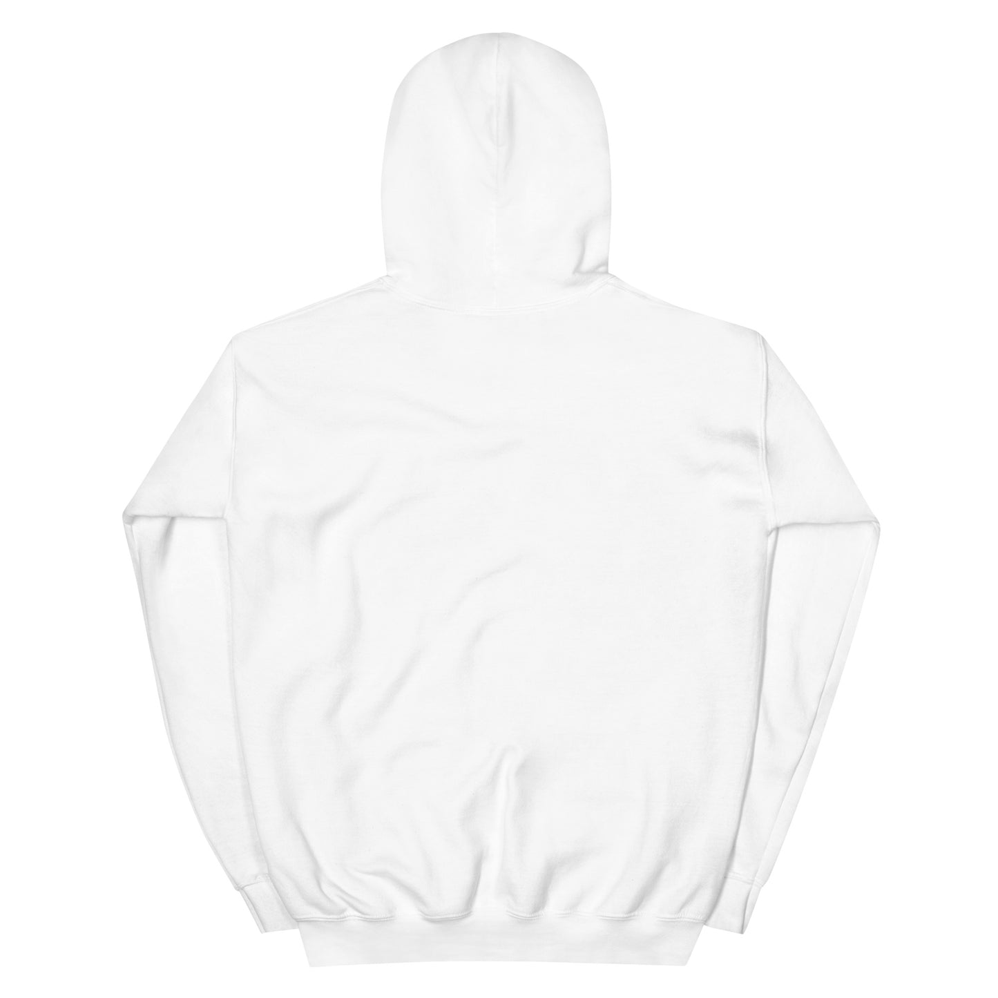 RichFraZ: 111th til Forever Unisex Hoodie