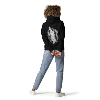RichFraZ: SNA Harlem Unisex Hoodie