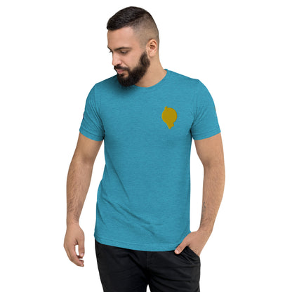 RichFraZ: SNA Unisex Embroidery Tee