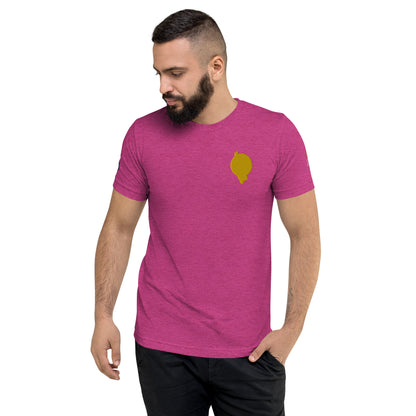 RichFraZ: SNA Unisex Embroidery Tee