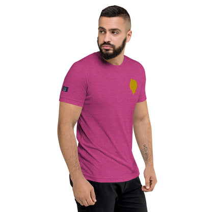 RichFraZ: SNA Unisex Embroidery Tee
