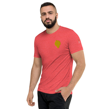RichFraZ: SNA Unisex Embroidery Tee