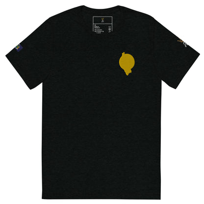 RichFraZ: SNA Unisex Embroidery Tee