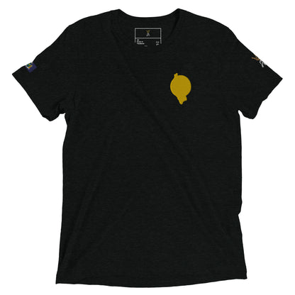 RichFraZ: SNA Unisex Embroidery Tee