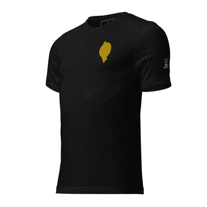 RichFraZ: SNA Unisex Embroidery Tee