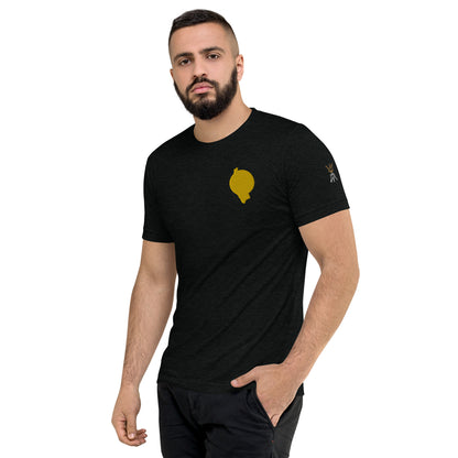 RichFraZ: SNA Unisex Embroidery Tee