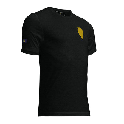 RichFraZ: SNA Unisex Embroidery Tee