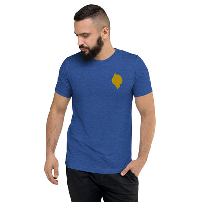 RichFraZ: SNA Unisex Embroidery Tee